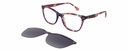 DAKAR Clip On L* 11031 COL 555