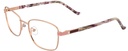 DIANE DE CARLO RX* 59278 COL 100