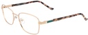 DIANE DE CARLO RX* 59278 COL 101