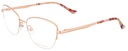 DIANE DE CARLO RX* 59279 COL 100