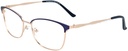 DIANE DE CARLO RX* 59283 COL 245