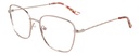 DIANE DE CARLO RX* 59288 COL 164