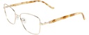 DIANE DE CARLO RX* 59317 COL 101