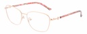 DIANE DE CARLO Icons RX* 86028 COL 100