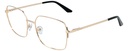 GUY LAROCHE RX* 76504 COL 101