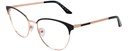 GUY LAROCHE RX* 76514 COL 100
