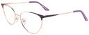 GUY LAROCHE RX* 76516 COL 455