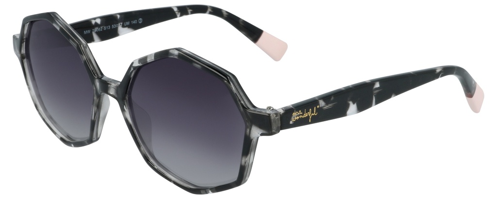 MR. WONDERFUL SUN  29062 COL 513