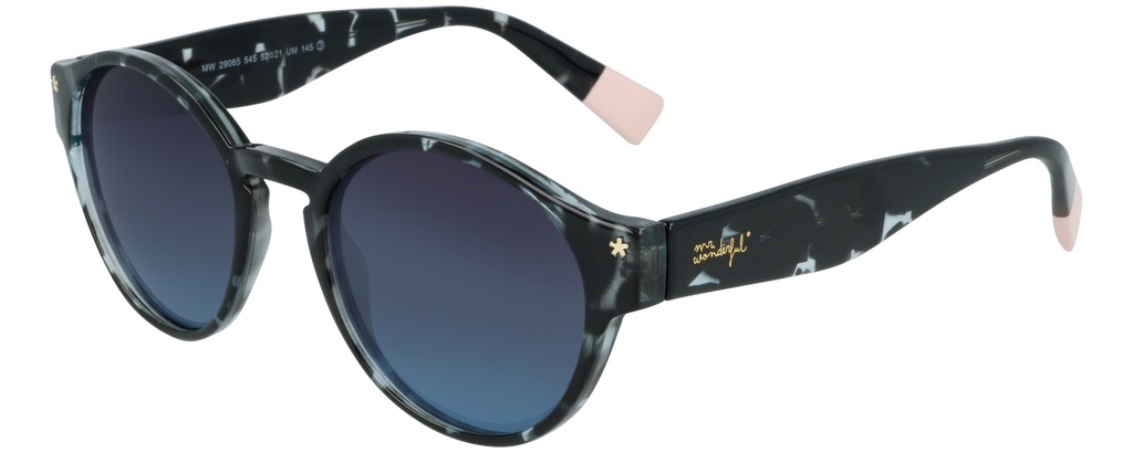 MR. WONDERFUL SUN  29065 COL 545