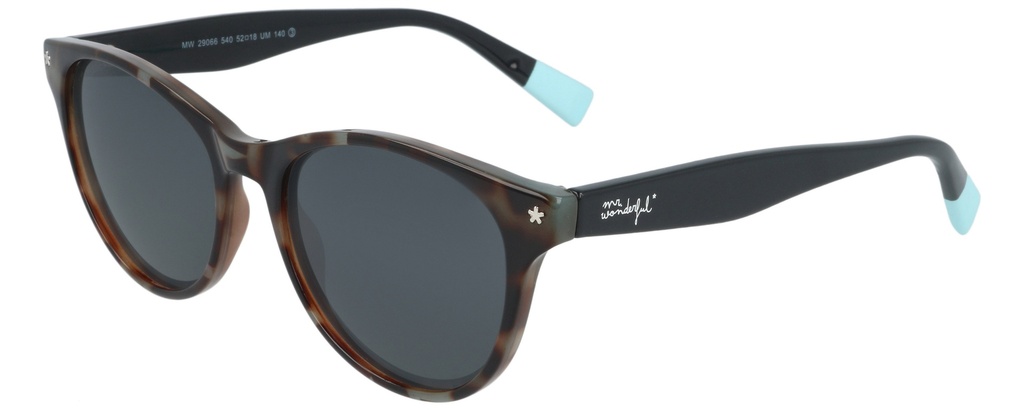 MR. WONDERFUL SUN  29066 COL 540