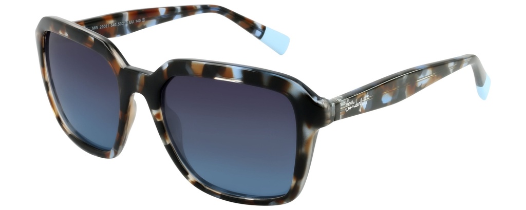 MR. WONDERFUL SUN  29081 COL 540