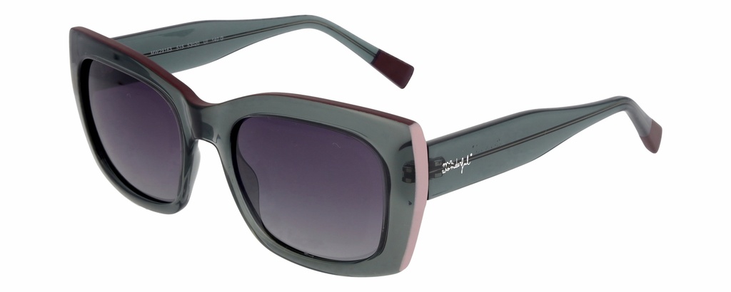 MR. WONDERFUL SUN  29163 COL 515