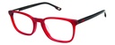 NB RX* 5038 COL.04
