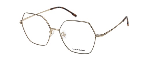 MOLESKINE RX* 2253 COL 29