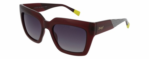 MR. WONDERFUL SUN  29146 COL 565