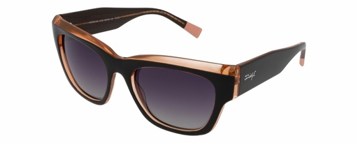 MR. WONDERFUL SUN  29148 COL 513