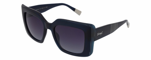 MR. WONDERFUL SUN  29150 COL 543