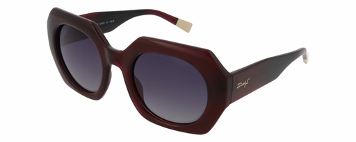 MR. WONDERFUL SUN  29152 COL 572