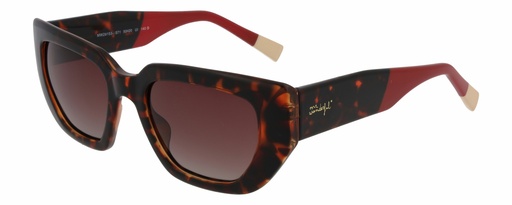 MR. WONDERFUL SUN  29153 COL 571