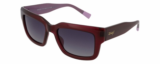 MR. WONDERFUL SUN  29154 COL 565