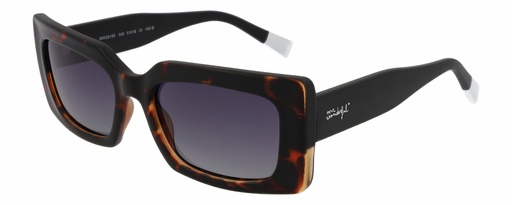 MR. WONDERFUL SUN  29155 COL 540