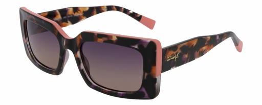 MR. WONDERFUL SUN  29155 COL 550