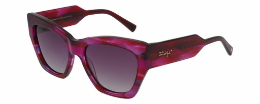 MR. WONDERFUL SUN  29801 COL 565