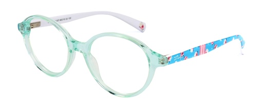 Frente MR. WONDERFUL OFT* 69828 COL 537 ø46/16 130