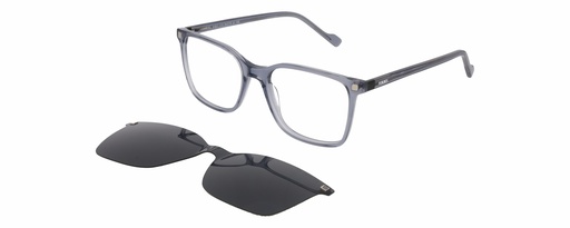 FORBES Clip On L* 51821 COL 515