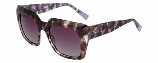 MR. WONDERFUL SUN  29158 COL 599