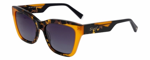 MR. WONDERFUL SUN  29811 COL 595