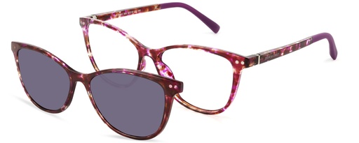 Clip on 01 DIANE DE CARLO 59901 COL 555