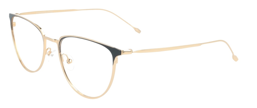 KODAK Frame* FI 70031 212