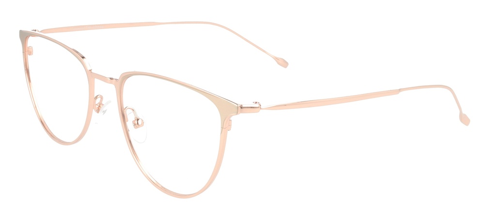 KODAK Frame* FI 70031 221