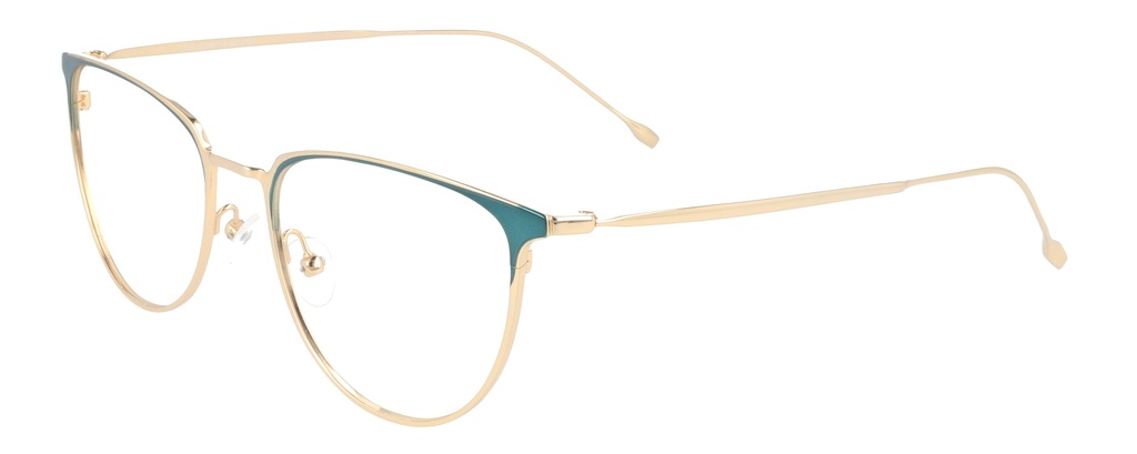 KODAK Frame* FI 70031 231