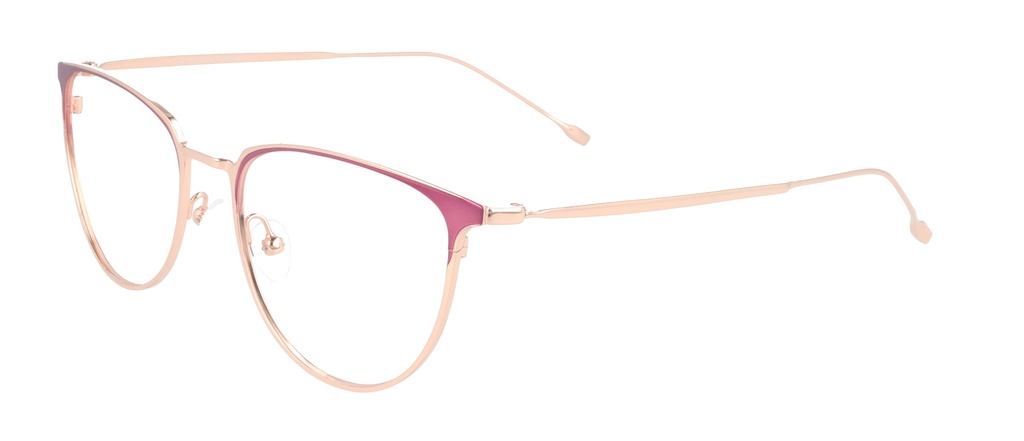 KODAK Frame* FI 70031 263