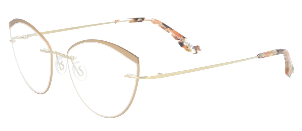 KODAK Frame* FI 70047 201 ?53/16 140 - L.01