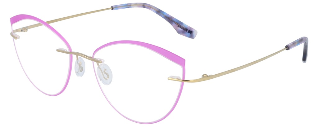 KODAK Frame* FI 70047 621